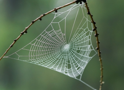 Why Visibility Beats Traffic in Modern Content Strategy